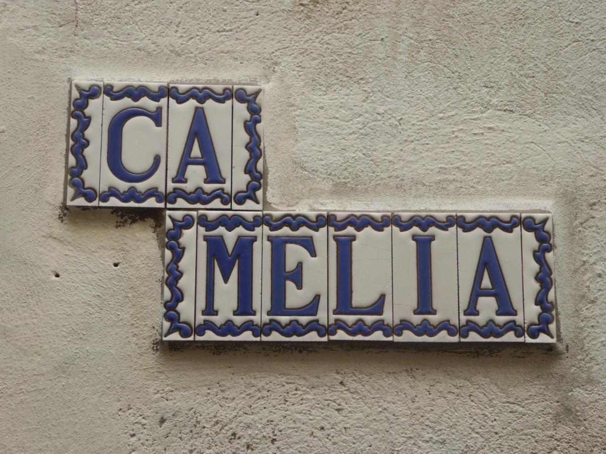 Ca Melia Bedigliora Apartment Exterior photo
