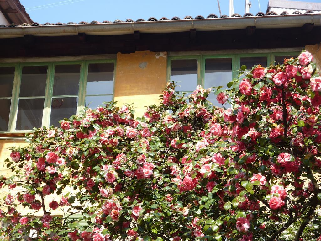 Ca Melia Bedigliora Apartment Exterior photo